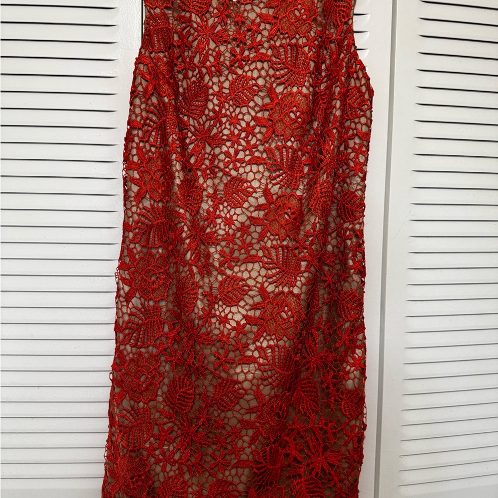 Oleg Cassini Orange Floral Lace Dress